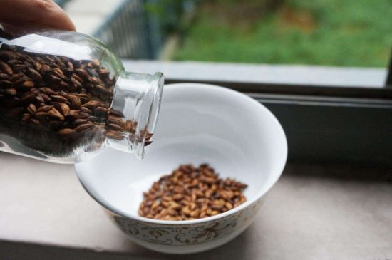 大麥茶上火嗎，喝大麥茶會不會上火？