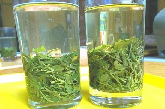 茶葉為什么不能亂送人，買茶葉一次送一盒還是兩盒