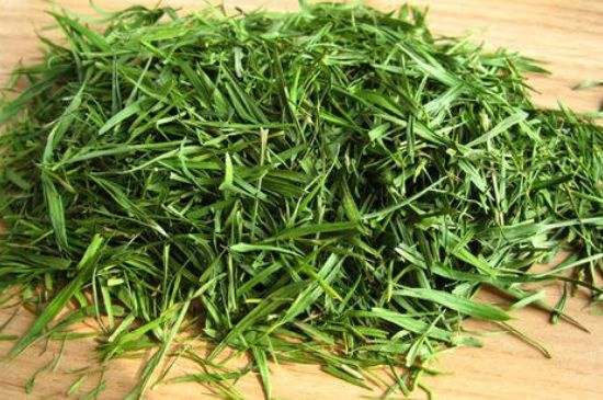 哪類人不適合喝石竹茶，石竹茶的功效與禁忌