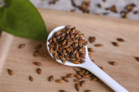 大麥茶上火嗎，喝大麥茶會不會上火？