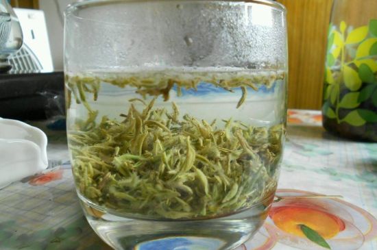 碧螺春正確泡法和飲用，碧螺春茶泡茶方法與溫度