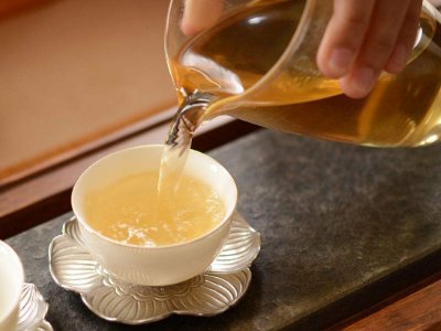 茶葉的專業(yè)知識，關(guān)于茶的基本知識大全