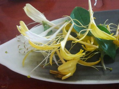 喝茶治口臭嗎，什么茶治口臭好？