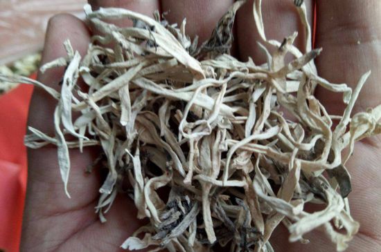 麗江雪茶的禁忌，白雪茶的副作用