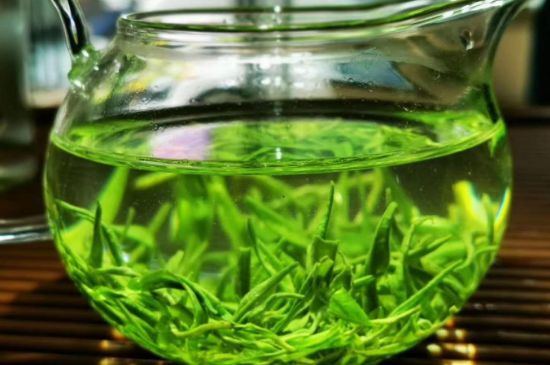 喝黃金茶禁忌，什么人不能喝黃金芽茶？