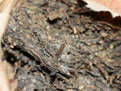 長(zhǎng)期飲用黑茶的副作用，黑茶的功效與作用