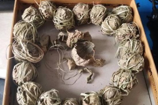 鷓鴣茶用拆開(kāi)泡嗎，鷓鴣茶要解開(kāi)繩子泡嗎