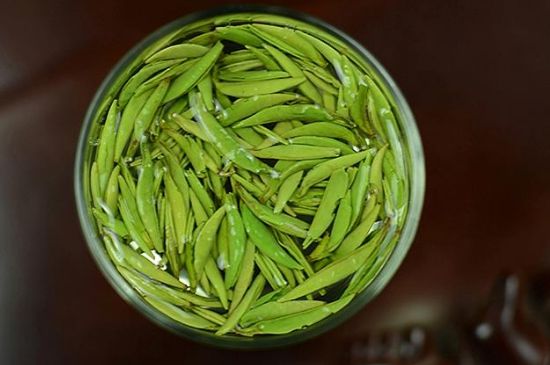 雀舌茶什么人不能喝，雀舌茶的功效與禁忌