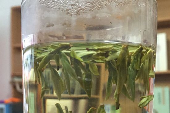 煮茶器能煮龍井嗎，龍井茶能不能用煮茶器圖