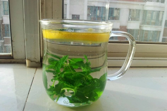薄荷茶的功效與作用，喝薄荷茶有什么好處？