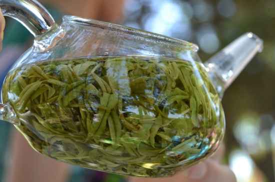 新手學泡茶的基本常識，從零開始學泡茶