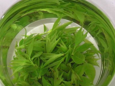 茶葉具有什么功效，茶葉的功效與作用大全