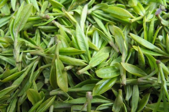 世界最貴的茶葉排行榜，十大最貴的茶