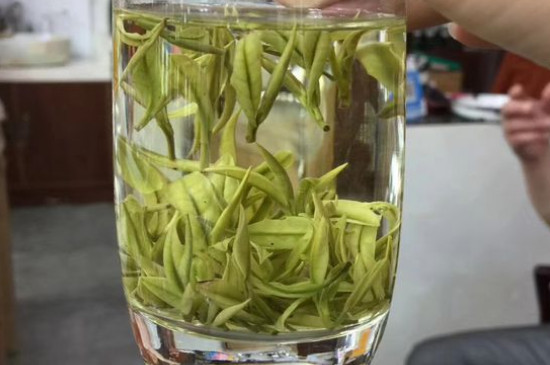 茶葉過期5年了但沒開封，茶葉放久了能喝嗎