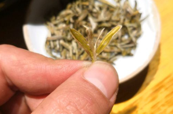 六大茶類哪種適合長期存放，日常如何保存方法一覽？