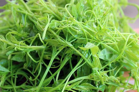 茅巖莓茶別名是什么，莓茶別名叫藤茶嗎？