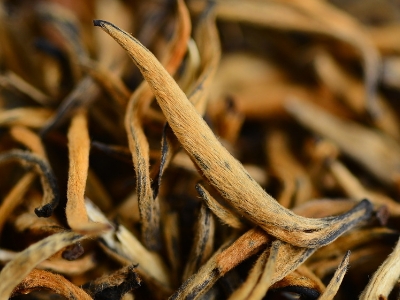 怎么知道什么茶葉適合自己，怎么判斷自己適合喝什么茶？