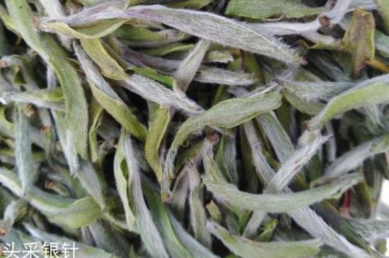 春茶季怎么辨別白毫銀針的好壞，好的白毫銀針如何選購？