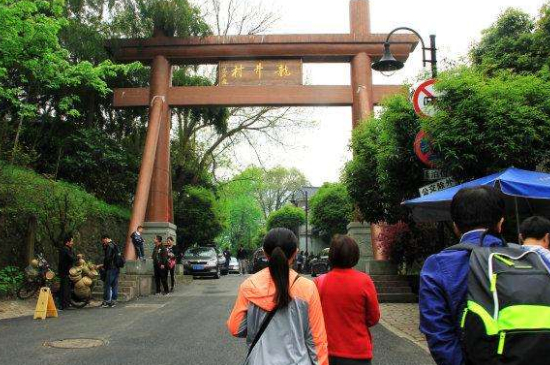 杭州買龍井茶攻略，怎么買到正宗的西湖龍井？