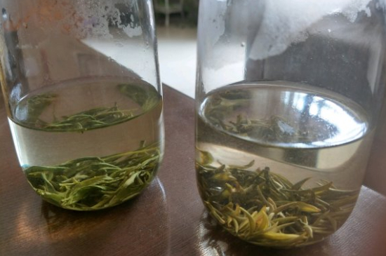 真假碧螺春泡水后區(qū)別，蘇州洞庭碧螺春怎樣鑒別好壞？