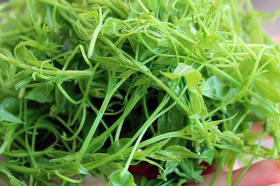 茅巖莓茶保質(zhì)期有多久，張家界莓茶存放時(shí)間長了還能喝嗎？