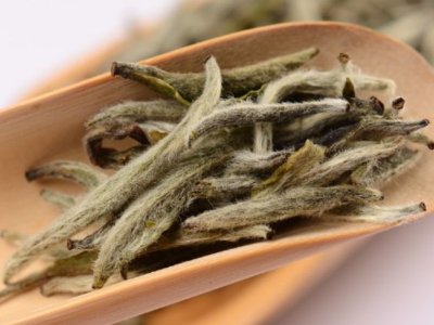 白毫銀針放幾年最好，白毫銀針什么年份最好？