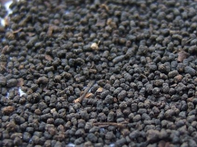 圓形顆粒狀茶是什么茶，像飼料一樣一粒粒的是什么茶？