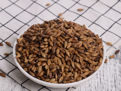 圓形顆粒狀茶是什么茶，像飼料一樣一粒粒的是什么茶？