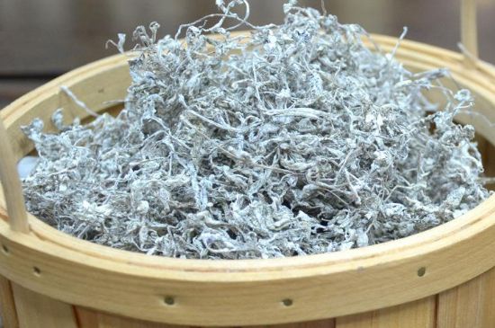 張家界莓茶真假對比，野生莓茶的鑒別方法