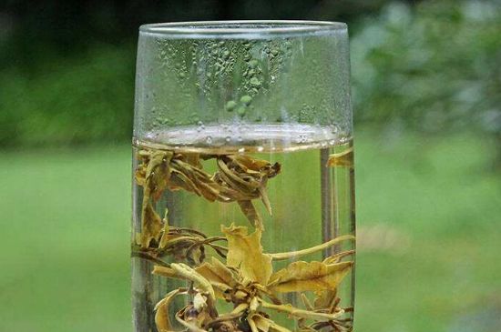 茉莉龍珠什么人不能喝，茉莉龍珠茶什么體質(zhì)不能喝？