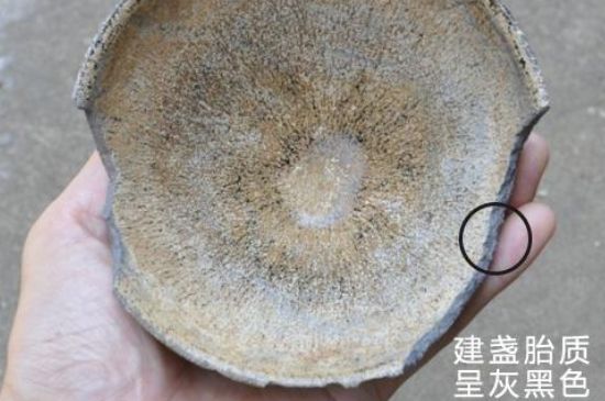 假建盞的特點(diǎn)，真假建盞區(qū)分帶圖