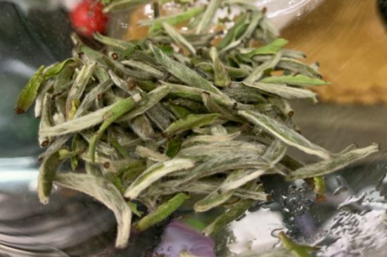 蒸汽煮茶器適合什么茶，蒸汽煮茶器適合用綠茶嗎？