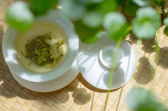 茉莉花茶6種人不要喝，什么體質(zhì)不適合喝茉莉花茶？