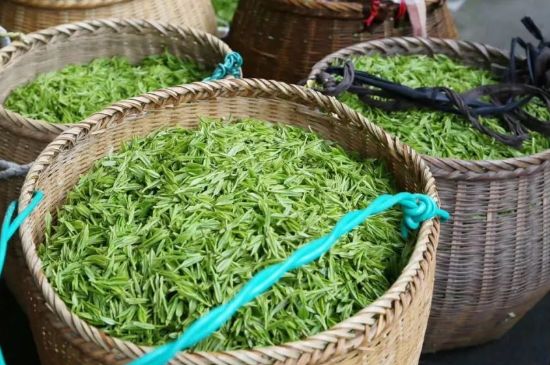 茶葉怎么炒制才香，怎樣炒茶葉更香？