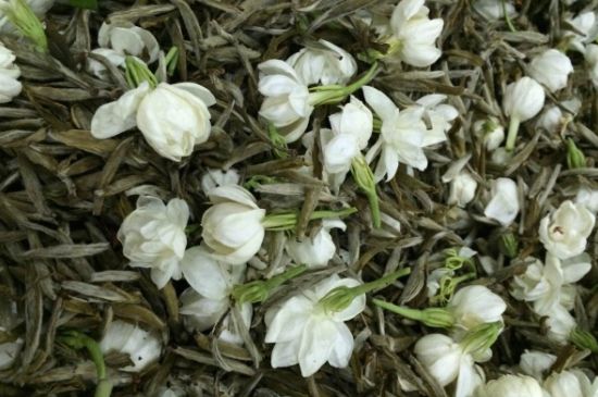 茉莉銀針口感，茉莉銀針是什么味道？