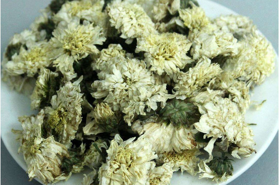 菊花茶買小朵還是大朵，泡茶用的小菊花和大菊花哪個好