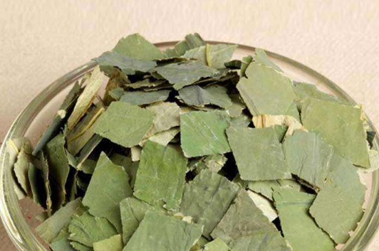 荷葉茶每天喝多少合適，什么時候喝最好？