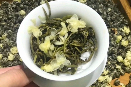 茉莉香珠跟龍珠有什么區(qū)別嗎，茉莉龍珠和茉莉香珠那個好？