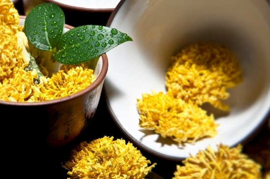 孕婦可以喝菊花茶嗎，菊花對(duì)胎兒有致畸作用？