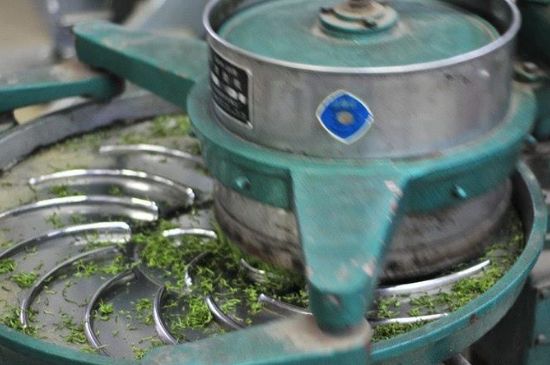 武夷巖茶的初制、精制加工工藝詳細(xì)講解