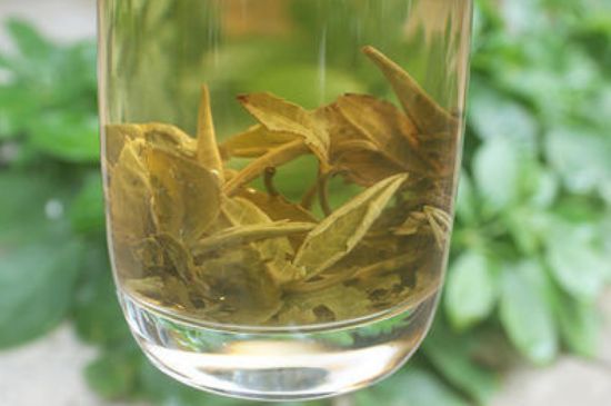 茉莉龍珠泡開后為什么都是梗，茉莉龍珠泡開后什么樣？