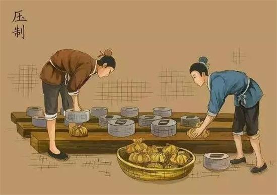 制茶八步驟，制茶工藝流程圖