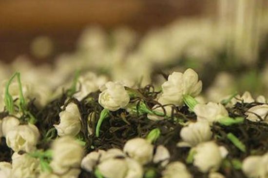 蒸茶器可以蒸花茶嗎，蒸茶器能用來蒸茉莉花茶嗎？