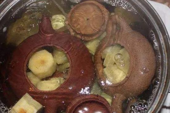 開壺放豆腐是錯誤的，新買的紫砂壺正確開壺建議