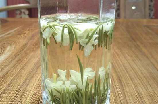 女孩喝茉莉茶的好處，茉莉茶葉的功效與禁忌