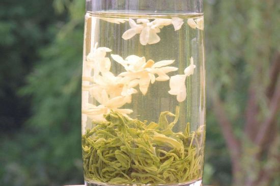 茉莉龍珠可以和什么一起泡茶，茉莉龍珠茶能加蜂蜜嗎？