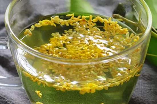 茉莉茶一次泡幾朵，茉莉茶放多少