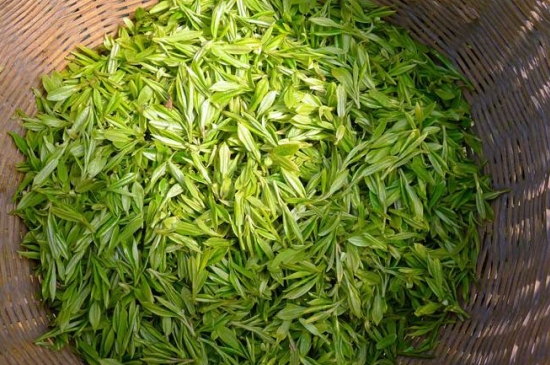 烏牛早和龍井的區(qū)別圖片，龍井43號和烏牛早茶的對比