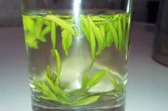 翠眉是什么茶，適合什么時候喝