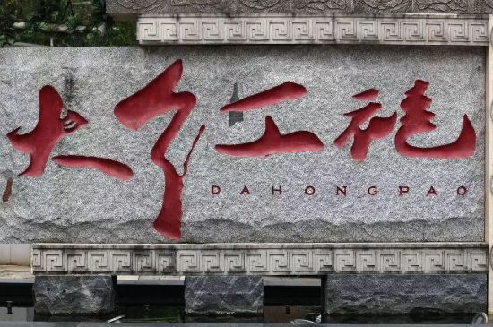 母樹大紅袍給誰喝了，為什么母樹大紅袍叫三棵六株？